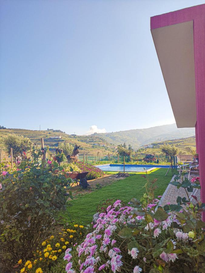 Quinta Dos Padrinhos - Suites In The Heart Of The Douro Ламегу Экстерьер фото