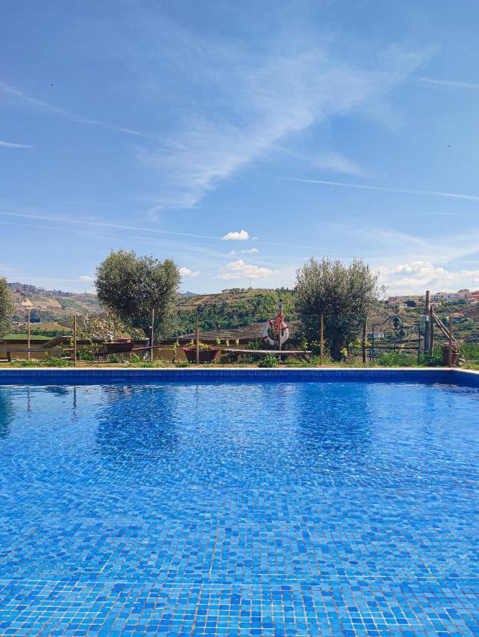 Quinta Dos Padrinhos - Suites In The Heart Of The Douro Ламегу Экстерьер фото