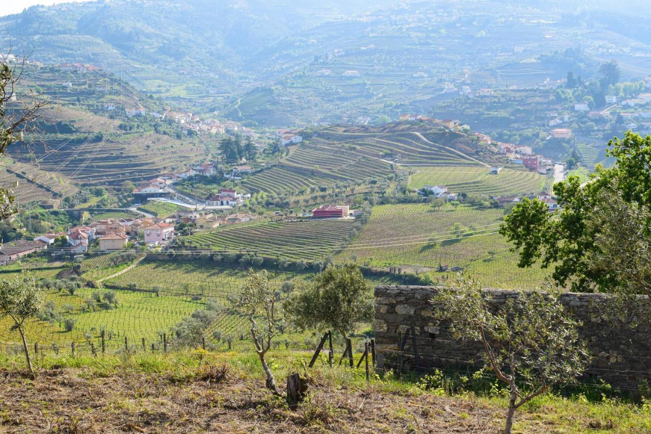Quinta Dos Padrinhos - Suites In The Heart Of The Douro Ламегу Экстерьер фото