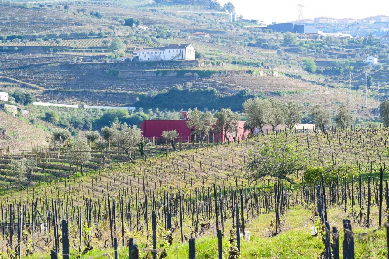 Quinta Dos Padrinhos - Suites In The Heart Of The Douro Ламегу Экстерьер фото