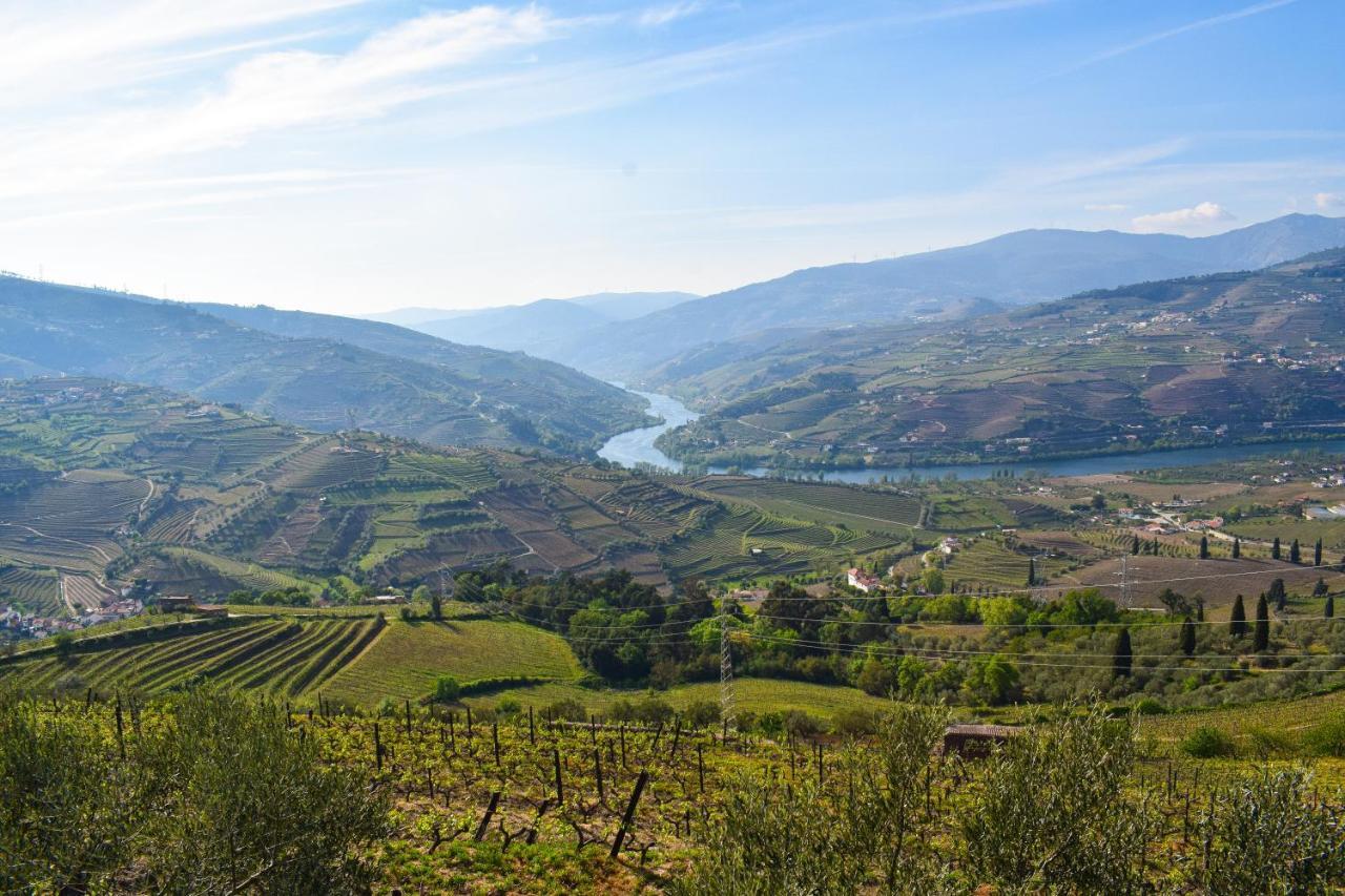 Quinta Dos Padrinhos - Suites In The Heart Of The Douro Ламегу Экстерьер фото