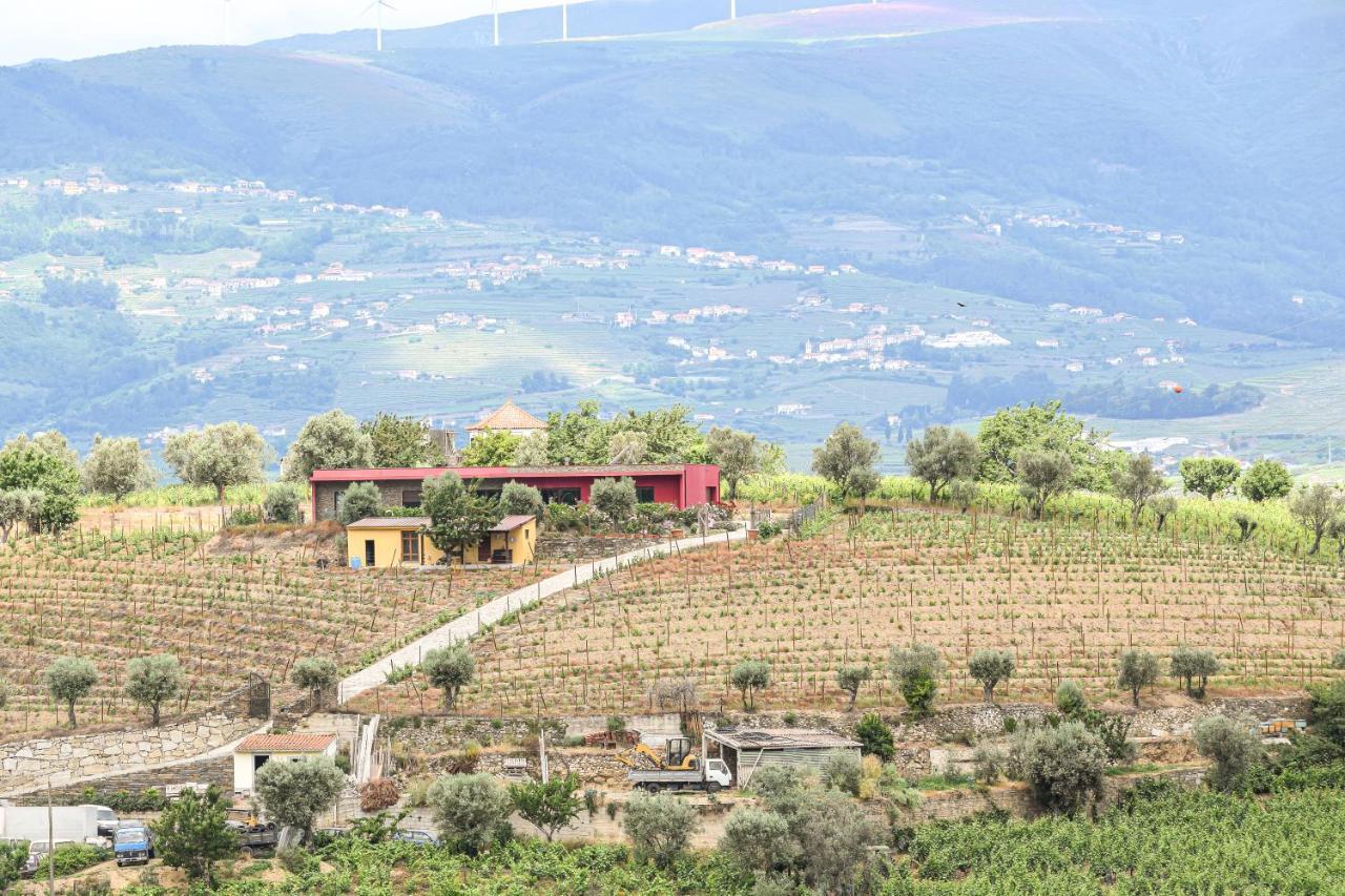 Quinta Dos Padrinhos - Suites In The Heart Of The Douro Ламегу Экстерьер фото