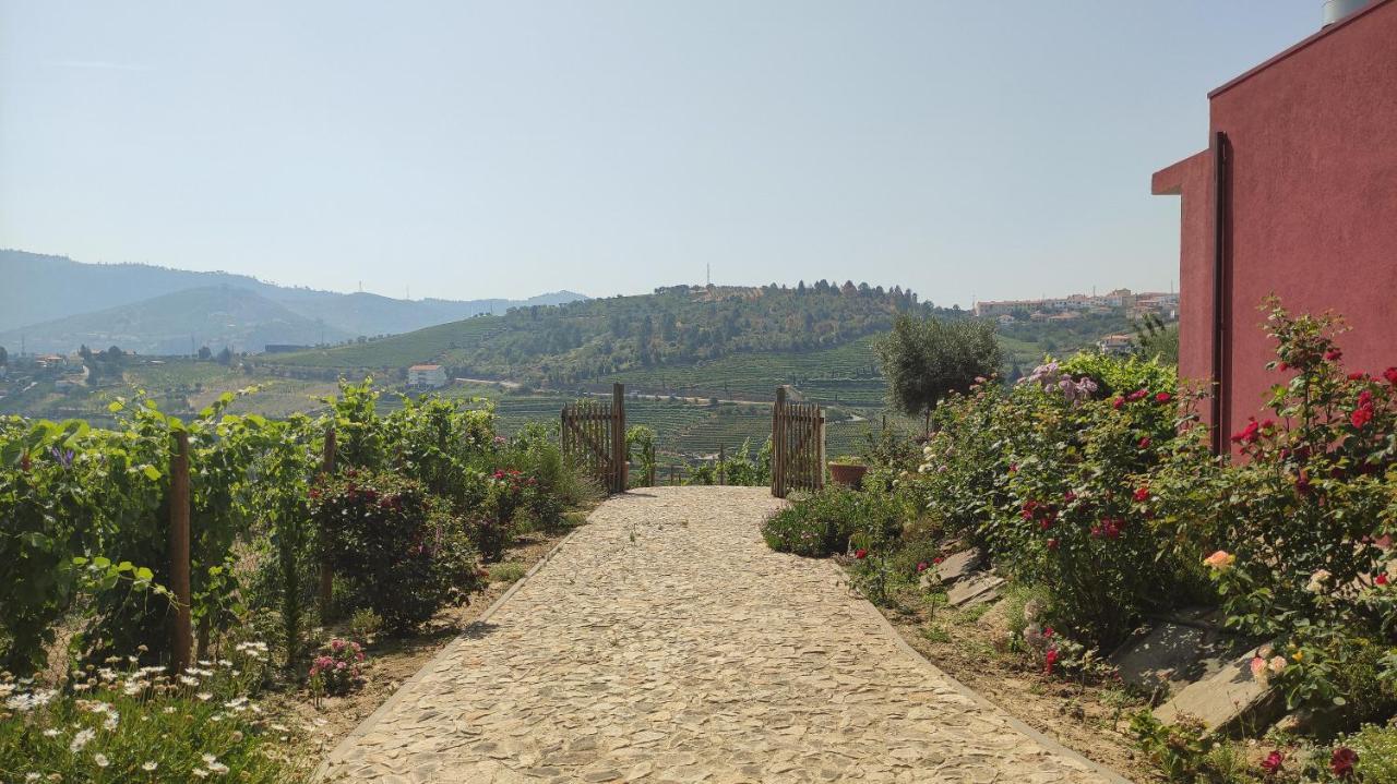Quinta Dos Padrinhos - Suites In The Heart Of The Douro Ламегу Экстерьер фото