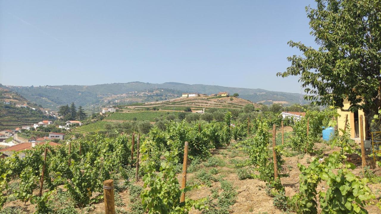 Quinta Dos Padrinhos - Suites In The Heart Of The Douro Ламегу Экстерьер фото